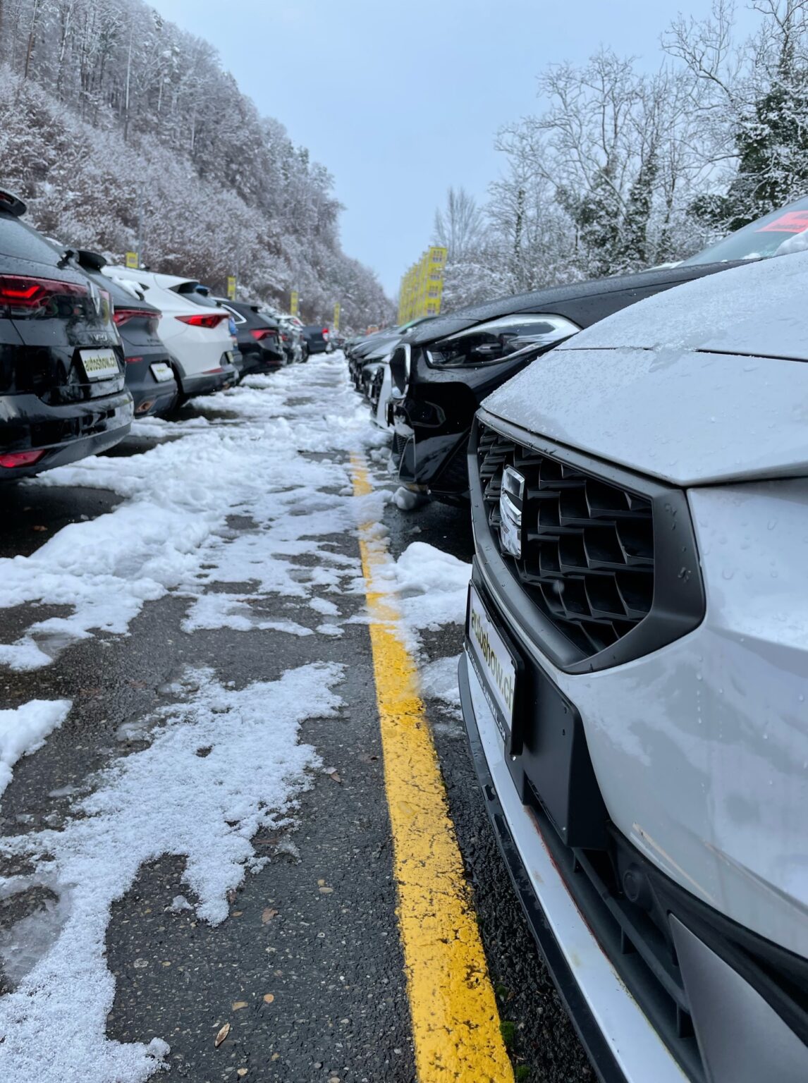 Véhicules à transmission intégrale - Autoshow Aathal AG 3