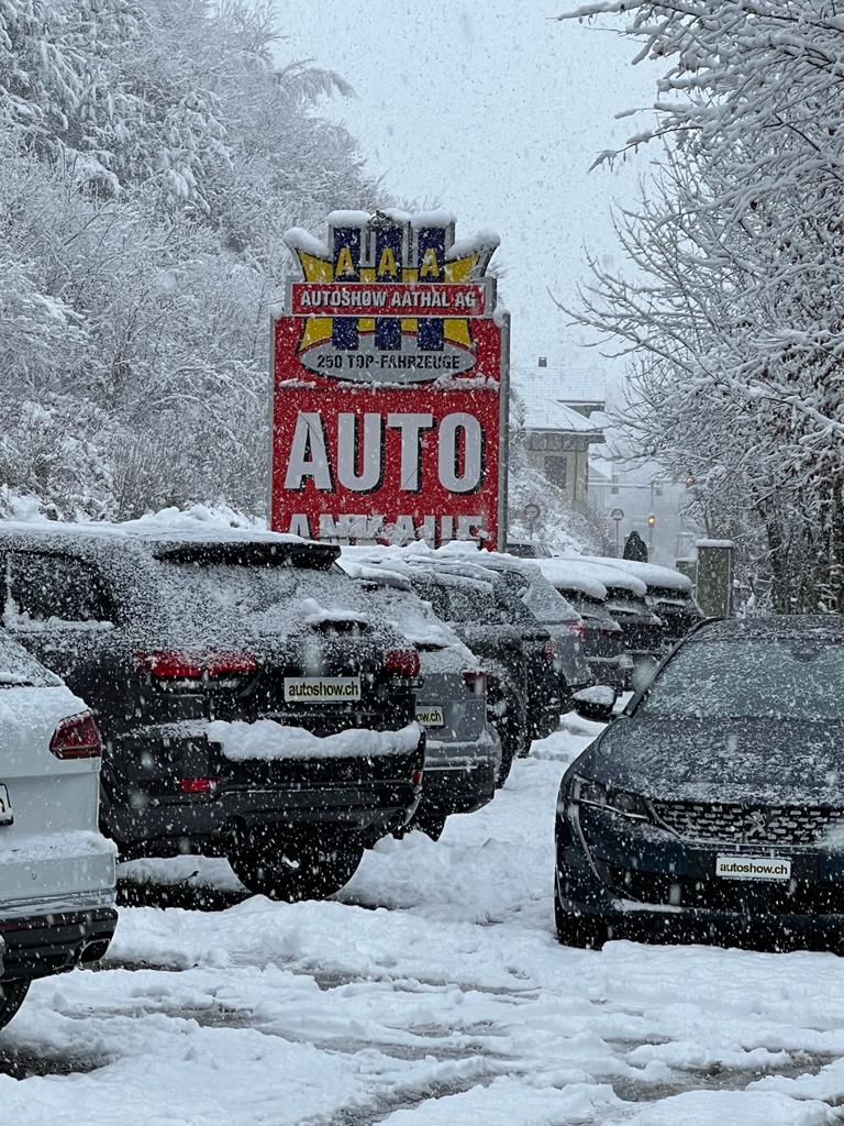 Véhicules à transmission intégrale - Autoshow Aathal AG 2